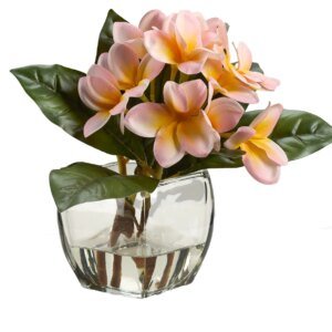 Peach Frangipani in Glass Vase