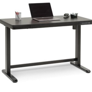 Mountain View Sit and Stand Desk