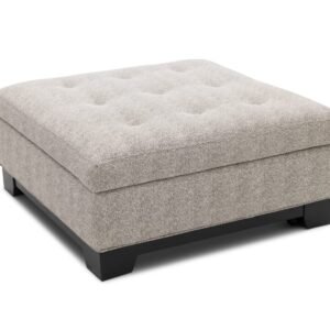 Delaney Storage Ottoman