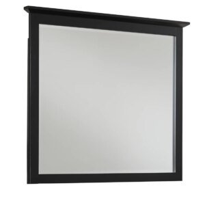Parmalee Mirror