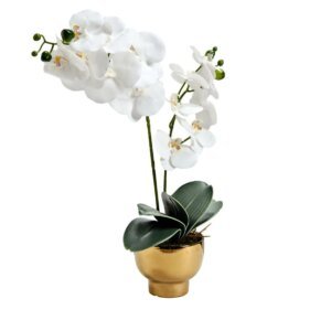 28" Orchid in Ceramic Pot