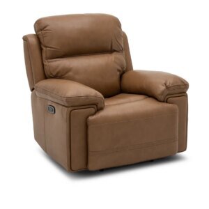 Reliance Power Recliner