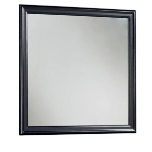 Mayville Mirror